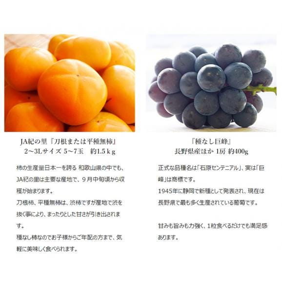『新米入り、柿に巨峰とさつまいもセット』柿1.5kg・種無し巨峰1房約400g・紅娘約1.5kg・新米1kg 合計約4.4kg 簡易梱包 ※常温 送料無料02