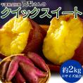 高梨さんのさつまいも『クイックスイート』千葉県産 約2kg×1箱 S～Lサイズ 簡易包装 ※常温 送料無料