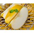 希少な黄色りんご　『もりのかがやき りんご』　岩手県産　約5kg　（14～18玉）　※常温　送料無料