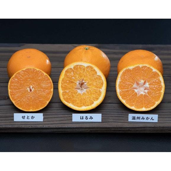 せとか入り柑橘3種（せとか約1.5kg、はるみ約1.5kg、みかん約2kg）合計約5kg ※常温 簡易梱包 ちょっと訳あり　送料無料02