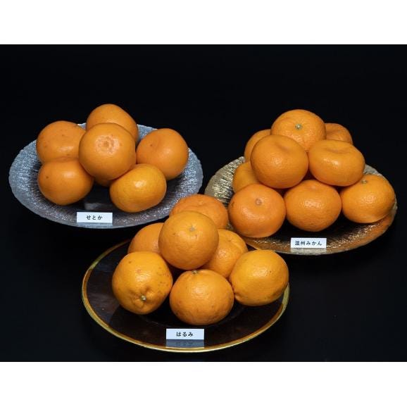 せとか入り柑橘3種（せとか約1.5kg、はるみ約1.5kg、みかん約2kg）合計約5kg ※常温 簡易梱包 ちょっと訳あり　送料無料03