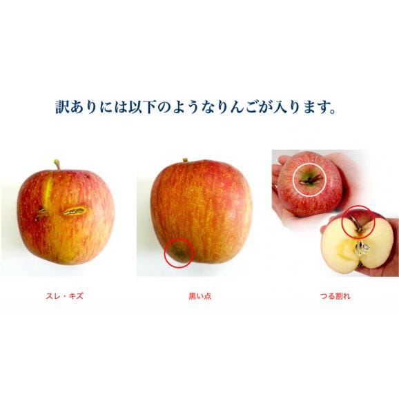 『訳ありサンふじ（外皮のキズ、つる割れ）』 青森県産りんご 約3kg （9～11玉） JA津軽みらい ※常温　送料無料03