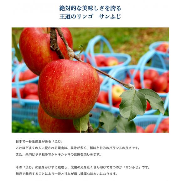 『訳ありサンふじ（外皮のキズ、つる割れ）』 青森県産りんご 約3kg （9～11玉） JA津軽みらい ※常温　送料無料04