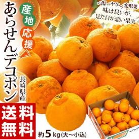 JA長崎せいひ 訳あり『デコポン』長崎県産 柑橘 大〜小サイズ 約5kg キズ、ヤケ、スレ有り 風袋込 ※常温 送料無料