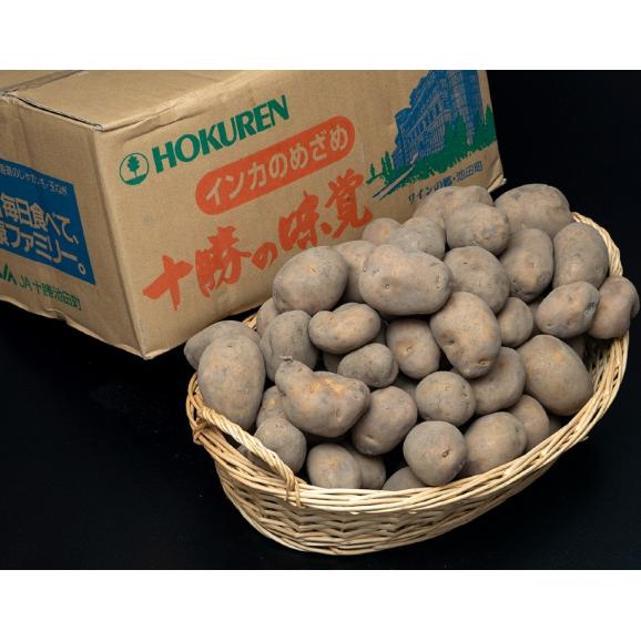 【ご自宅用 茶箱でお届け】『インカのめざめ』北海道産 S～2L 約5kg 簡易箱 ※常温　送料無料02