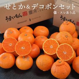 せとか ＆ デコポン セット ご自宅用 傷・スレあり品 計約4kg (各約2kg） 簡易箱 ※常温　送料無料