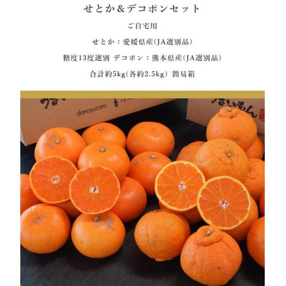 デコポン&せとか セット 計約5kg (各約2.5kg) 簡易箱 ※常温 デコポン:熊本県、せとか:愛媛県02
