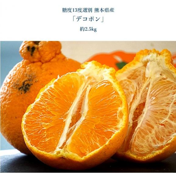 デコポン&せとか セット 計約5kg (各約2.5kg) 簡易箱 ※常温 デコポン:熊本県、せとか:愛媛県05