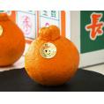 JA長崎せいひ『デコポン』長崎県産 秀 約5kg（15～24玉）産地箱 風袋込 ※常温　送料無料