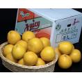 熊本県産 ジューシー （河内晩柑） L～2L 約7.5kg (目安：17～22玉)　※常温 送料無料