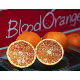 『ブラッドオレンジ（タロッコ種）』 愛媛県産 柑橘 L～2Lサイズ 秀品 約2.5kg (目安：15～23玉）簡易梱包 ※常温 送料無料　JAえひめ南