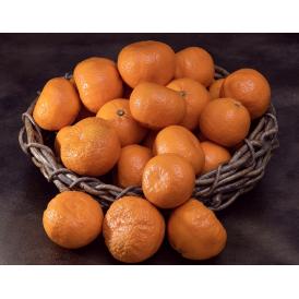 農6 (のうろく) 香川県産 約2.5kg 秀～優品　大～小サイズ ※常温　送料無料　機能性　柑橘