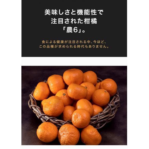 農6 (のうろく) 香川県産 約2.5kg 秀～優品　大～小サイズ ※常温　送料無料　機能性　柑橘02
