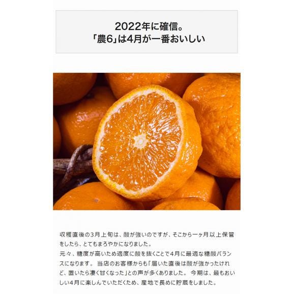 農6 (のうろく) 香川県産 約2.5kg 秀～優品　大～小サイズ ※常温　送料無料　機能性　柑橘04