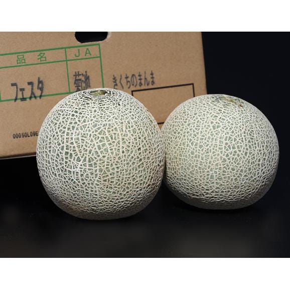 熊本県菊池特産 『フェスタメロン(赤肉)』 2玉 風袋込 計約2.2kg 大玉3～4Lサイズ 優～秀品 簡易包装　※常温　送料無料03