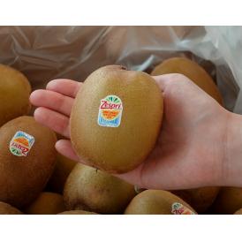ゼスプリ ゴールドキウイ　大玉5L　15玉　約2.6kg ニュージーランド産　簡易梱包 ※冷蔵 サンゴールド　送料無料