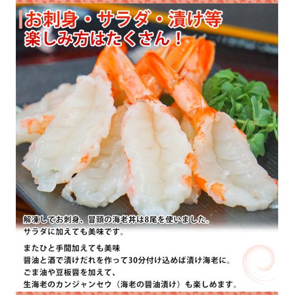 訳ありお刺身赤海老 開き（アルゼンチンアカエビ） 20尾 アルゼンチン産 ※冷凍　送料無料06