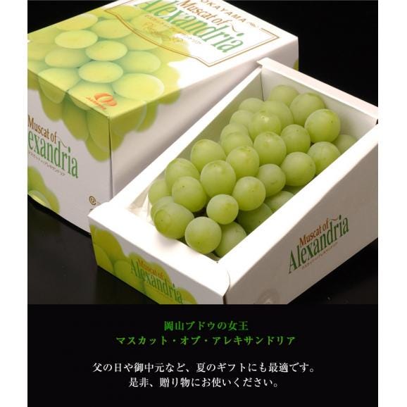 船穂ぶどう部会『マスカット・オブ・アレキサンドリア』岡山県産 特秀品 超大房 1房 約750g ※冷蔵 化粧箱 ≪数量限定／食文化特別規格≫05