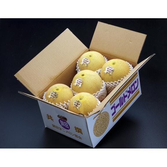 『白井一夫さんの ゴールドメロン』 茨城県産 3～4玉入 風袋込約5kg 3～4Ｌサイズ ※常温 送料無料03