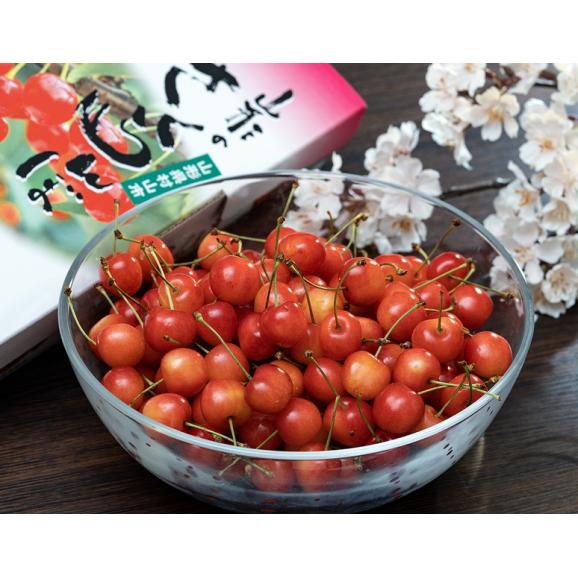 【カード・代引限定】『紅秀峰』 山形県産 さくらんぼ バラ詰め マル秀品以上 約1kg L～2Lサイズ 化粧箱 ※冷蔵 JAみちのく村山他 送料無料02