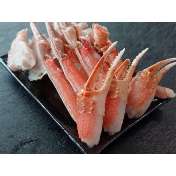 【賞味期限2023年12月末】生ズワイガニ4箱セット ハーフポーション 合計1.6kg（約6～8人前） 400g化粧箱×4箱 太脚・爪・肩込 ※冷凍　送料無料02