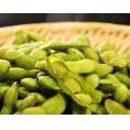 【産地直送】枝豆（新潟茶豆・あま茶豆）　JA新潟かがやき 新津　約2kg (約250g×8袋)　 ※冷蔵 送料無料