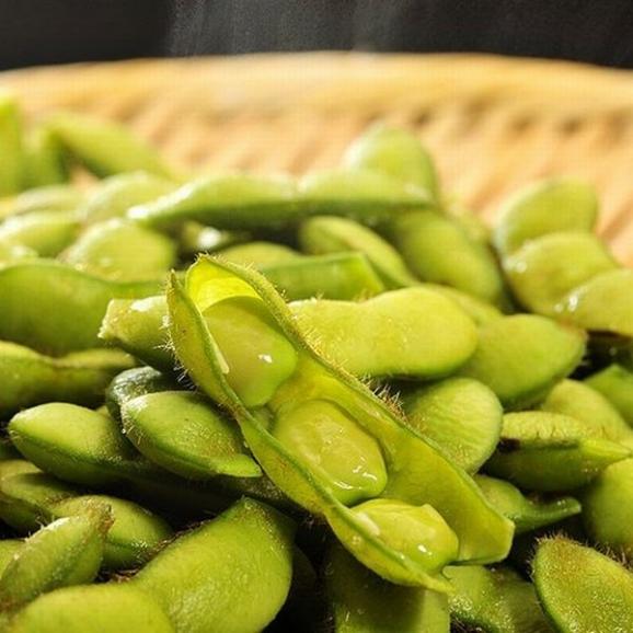 産地直送 枝豆（新潟茶豆・あま茶豆 のいずれか1種類） JA新潟かがやき 新津 約2kg (約250g&times;8袋) ※冷蔵 産地直送 送料無料01