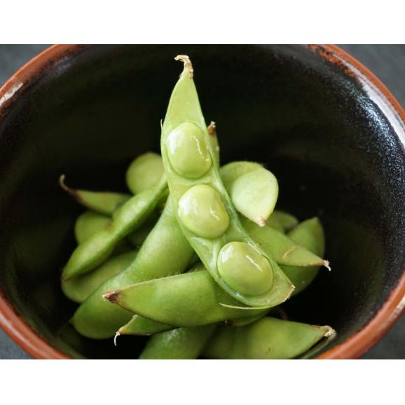 産地直送 枝豆（新潟茶豆・あま茶豆 のいずれか1種類） JA新潟かがやき 新津 約2kg (約250g&times;8袋) ※冷蔵 産地直送 送料無料03