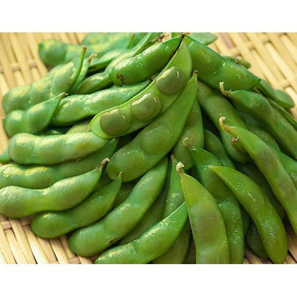 【産地直送】 枝豆（おつな姫・くろさき茶豆・ぴかり茶豆・みかづき姫） JA新潟かがやき 黒崎 約2kg (約250g×8袋)　※冷蔵 送料無料02
