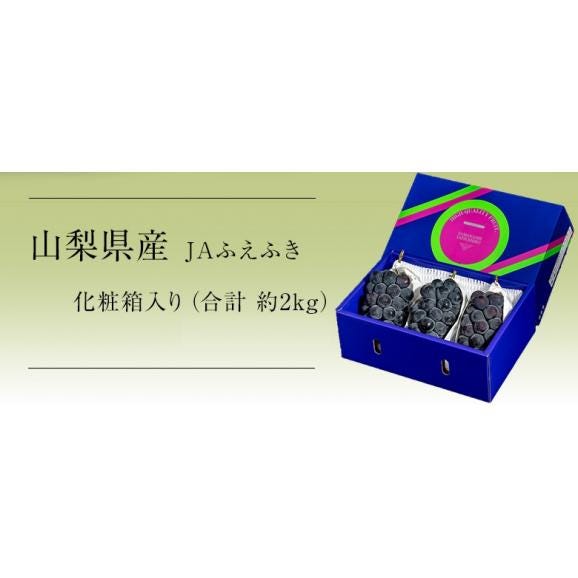 【カード代引き限定】ぶどう ブドウ 葡萄 藤稔 (ふじみのり) 山梨県産 大粒ぶどう 約2kg（3～4房 ） 化粧箱 風袋込 JAふえふき ※冷蔵 送料無料02