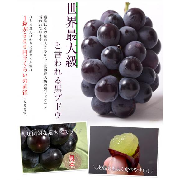 【カード代引き限定】ぶどう ブドウ 葡萄 藤稔 (ふじみのり) 山梨県産 大粒ぶどう 約2kg（3～4房 ） 化粧箱 風袋込 JAふえふき ※冷蔵 送料無料03