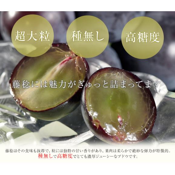 【カード代引き限定】ぶどう ブドウ 葡萄 藤稔 (ふじみのり) 山梨県産 大粒ぶどう 約2kg（3～4房 ） 化粧箱 風袋込 JAふえふき ※冷蔵 送料無料04