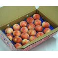 『旬の桃（ご家庭用）』山形県産 秀品 約5kg（13～22玉） 風袋込 産地箱 ※常温　送料無料