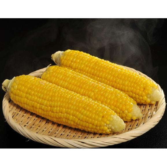 【カード・代引限定】『平田さんのとうもろこし(品種：味来プレミアム）』北海道産 10本入り （1本約350g）約3.5kg ※冷蔵　送料無料02