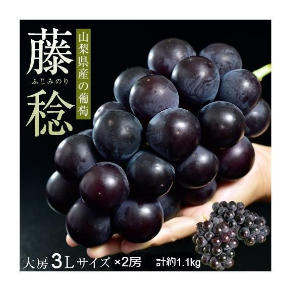 山梨県産　大粒 黒ぶどう 藤稔 大房 3L×2房　合計約1.1kg ※冷蔵 送料無料02