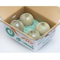 糖度14度選別 北海道産 『らいでん クラウンメロン（ 青肉 ）』 秀品　 JAきょうわ 　 風袋込 計約8kg 大玉4玉 産地箱 ※常温 送料無料