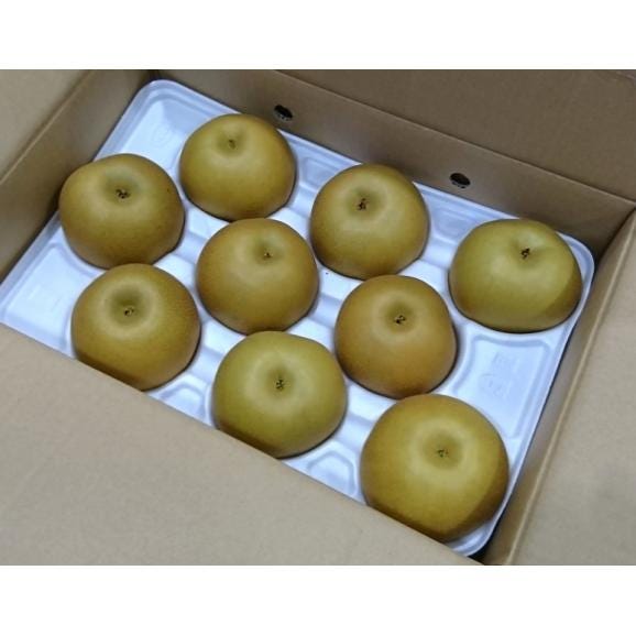 ご自宅用 あきづき梨　熊本県産 風袋込 約5kg（10～16玉）産地箱 多少の傷あり品 ※冷蔵　送料無料03