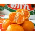 『温室蒲郡みかん』愛知県産 JA蒲郡市 S～2S 約2kg（目安25～35個程度） 簡易箱 ※冷蔵　送料無料