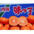 糖度13度以上『味っ子みかん』長崎県産 マル秀～秀 S～L 約2.5kg 簡易箱 ※常温 JAながさき西海 送料無料