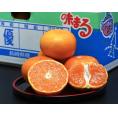 糖度12度以上『味まるみかん』 長崎県産 優～秀 S～L 約5kg 産地箱 風袋込 ※常温 JAながさき西海 送料無料