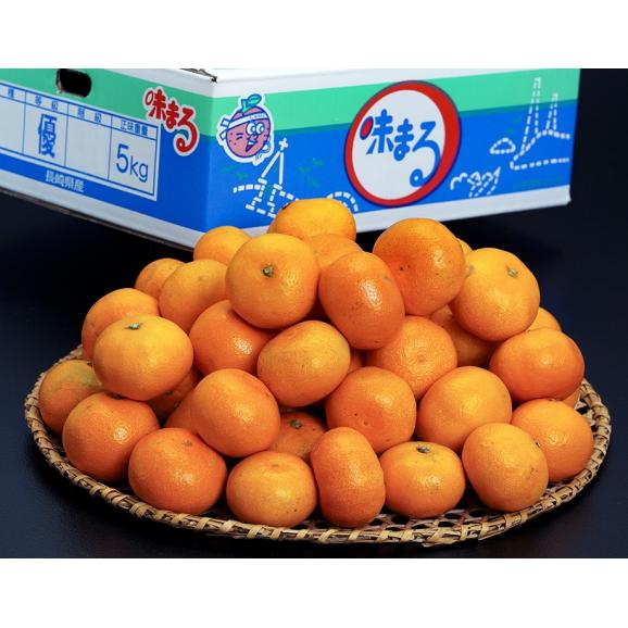 糖度12度以上『味まるみかん』 長崎県産 優～秀 S～L 約5kg 産地箱 風袋込 ※常温 JAながさき西海 送料無料02