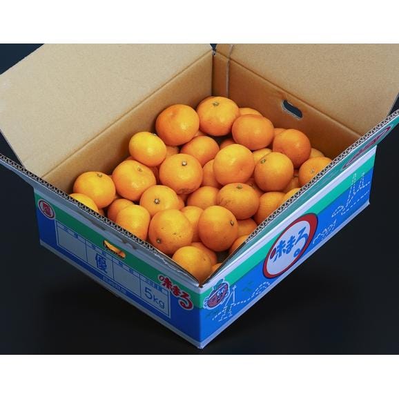 糖度12度以上『味まるみかん』 長崎県産 優～秀 S～L 約5kg 産地箱 風袋込 ※常温 JAながさき西海 送料無料03