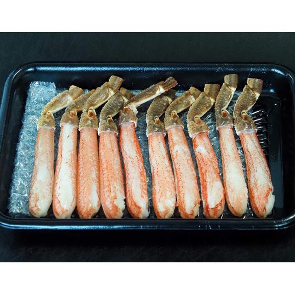 極太9Lサイズ 生ズワイガニ 太脚棒肉ポーション オオズワイ（バルダイ種）使用 10本入：約500g アメリカアラスカ産・日本加工 ※冷凍　送料無料02