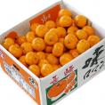 【糖度12度選別】『味ロマン』 JA長崎せいひ M～Lサイズ 約10kg 産地箱 外皮に傷あり ※常温　送料無料