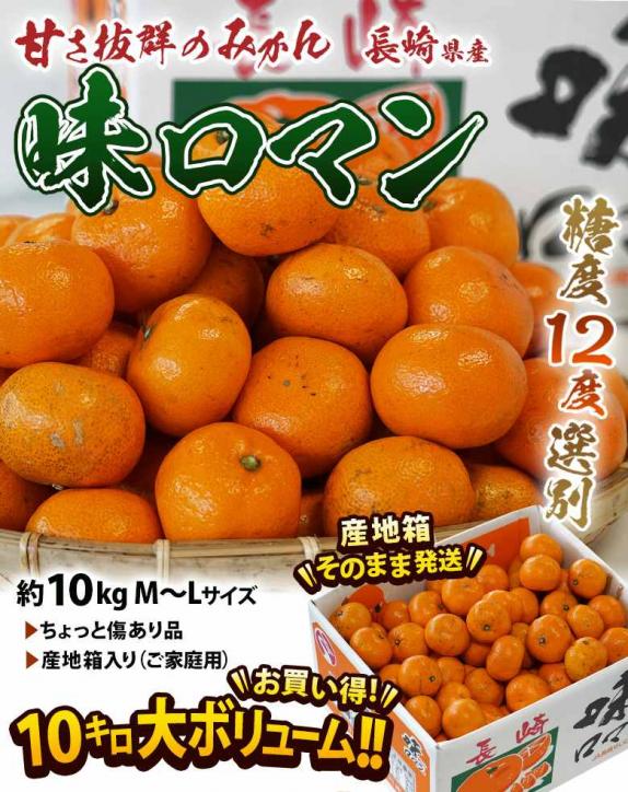 糖度12度以上 味ロマン 長崎県産みかん M～L 約10kg 産地箱 外皮に傷