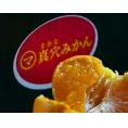 JAにしうわ 真穴共選 『真穴みかん』 愛媛・西宇和産 M-Lサイズ 約3kg 風袋込 ※常温