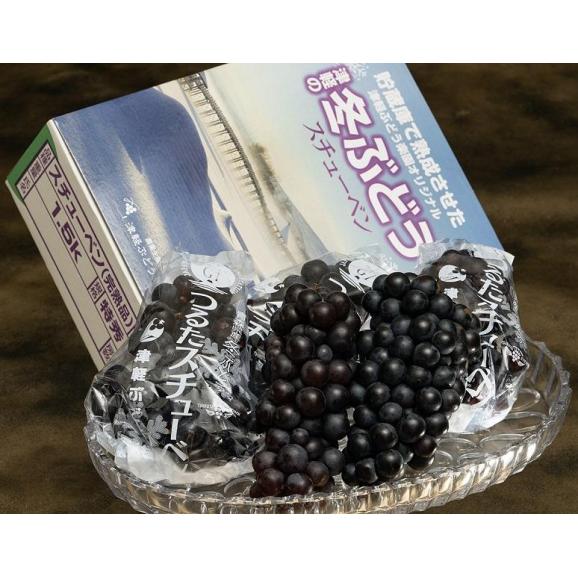 【GI産品】『つるたスチューベン』 青森県産 特秀（4～6房入） 約1.5kg ※常温　送料無料02