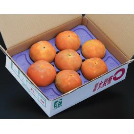 JAいび川『太秋柿』岐阜県産 約3.5kg(8～14玉) 産地箱 風袋込 多少のキズ有 ※常温　送料無料