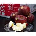 『紅いわて』岩手県産りんご 特UP 約2.5kg（7～10玉）簡易箱 ※冷蔵 送料無料
