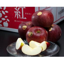 『紅いわて』岩手県産りんご 特UP 約2.5kg（7～10玉）簡易箱 ※冷蔵 送料無料